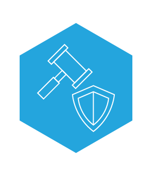 Litigio especializado